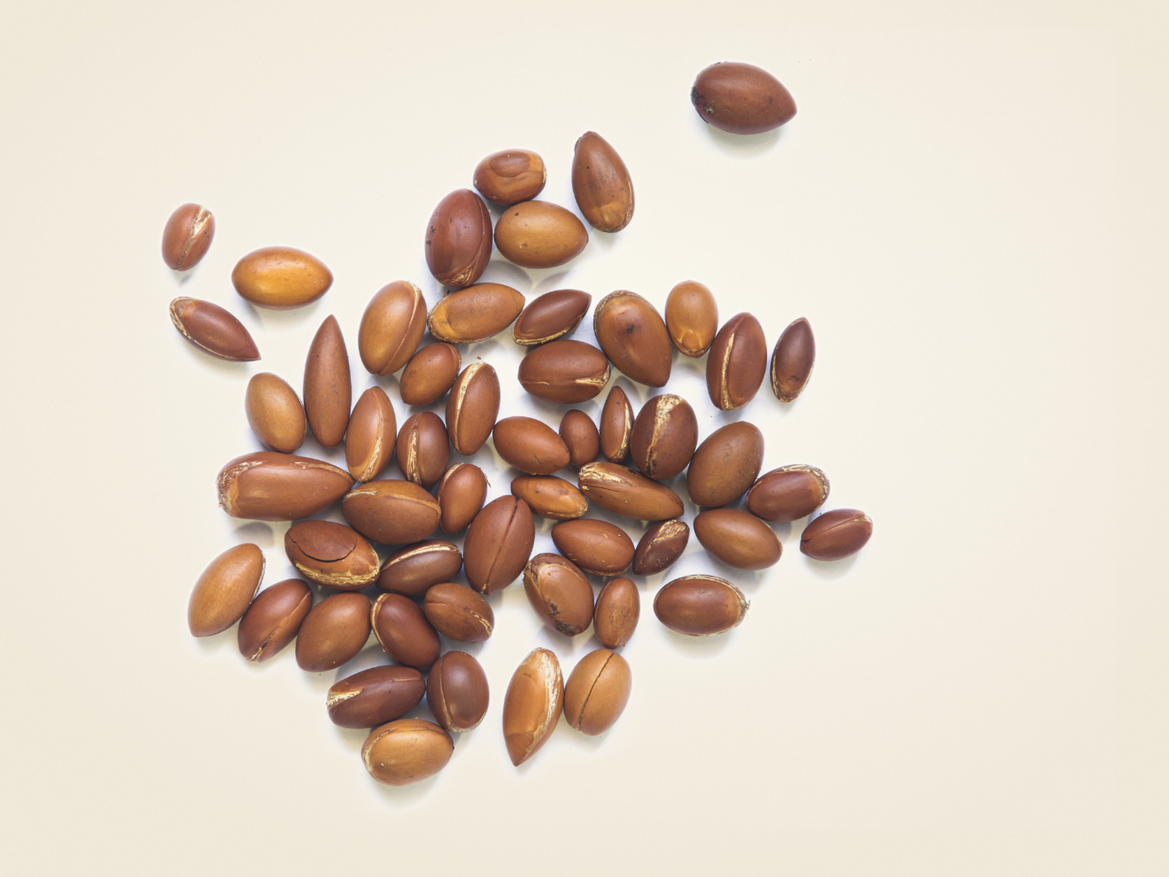 Arganöl als Wirkstoff im Daily Glow Up Rosemary Hair & Scalp Strengthening Oil für Glanz und geschmeidige Längen und Spitzen.