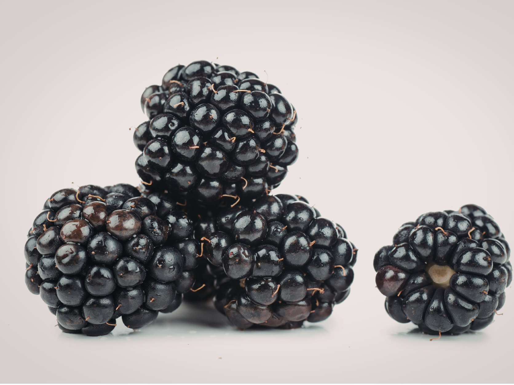 Brombeerextrakt als Wirkstoff im Daily Glow Up Multi-Hyaluron Tagescreme für eine frische Ausstrahlung.