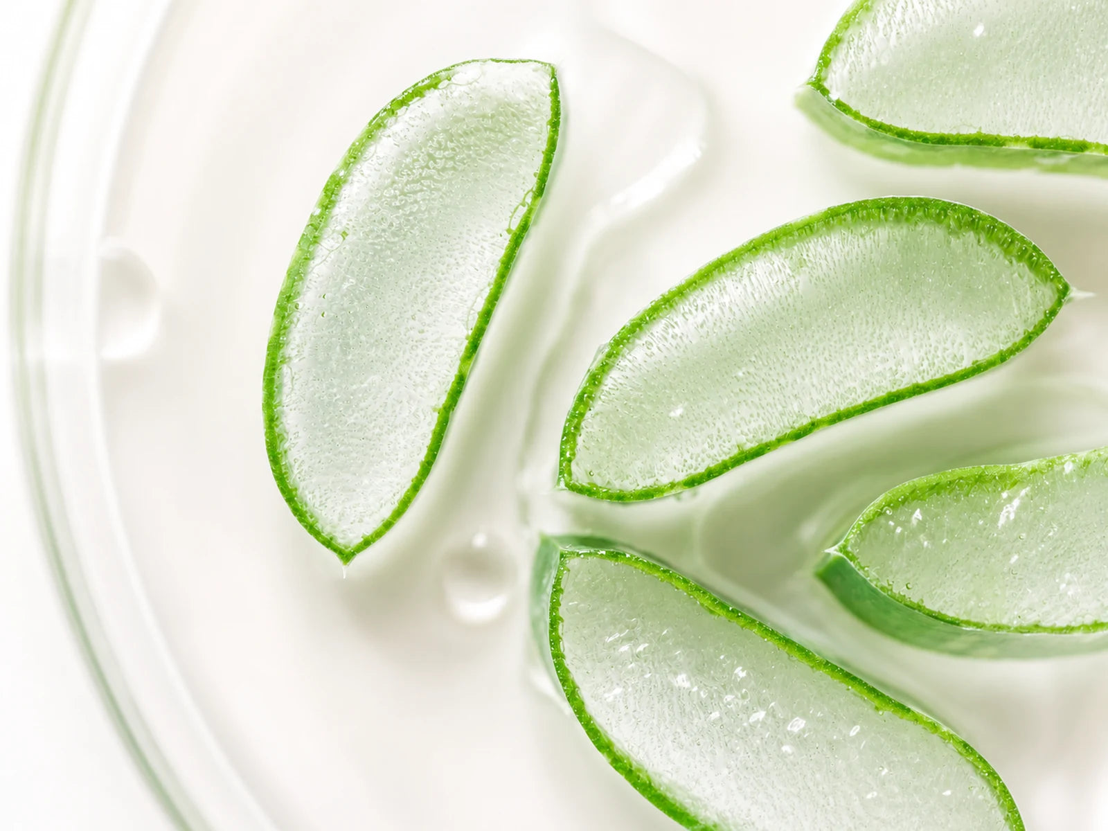 Aloe Vera als feuchtigkeitsspendender Wirkstoff im Hydra Glow Reinigungsgel von DailyGlowUp